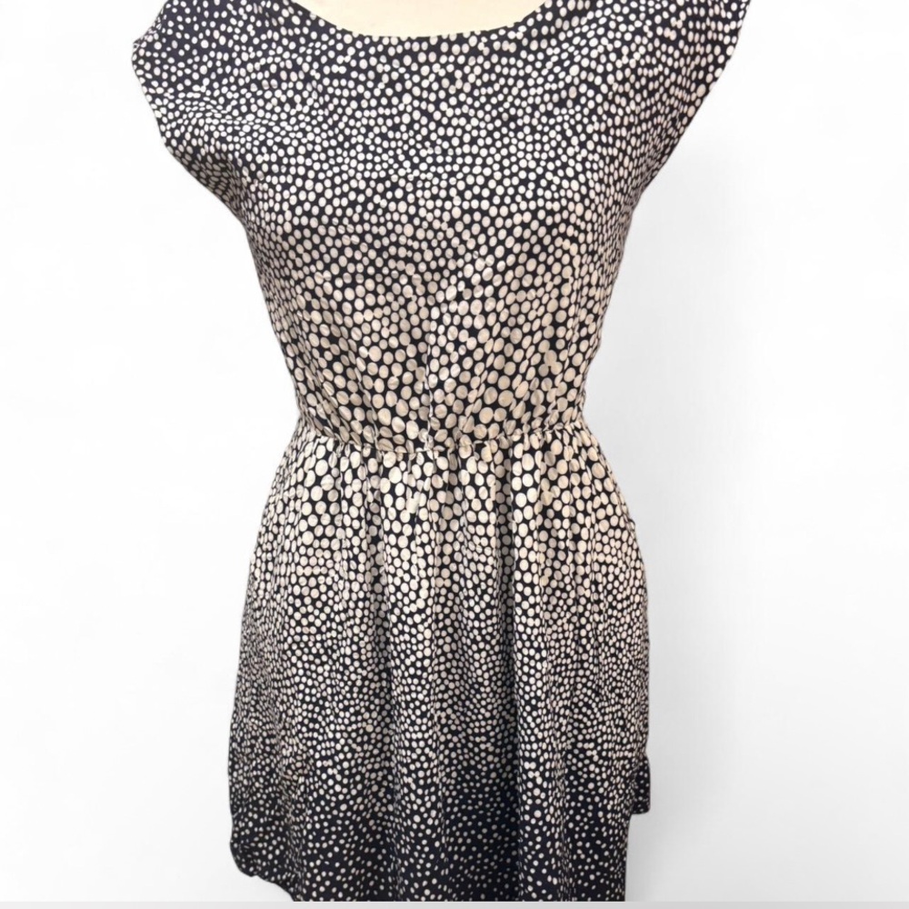 Gap Elegant Navy, and White Polka Dot Dress